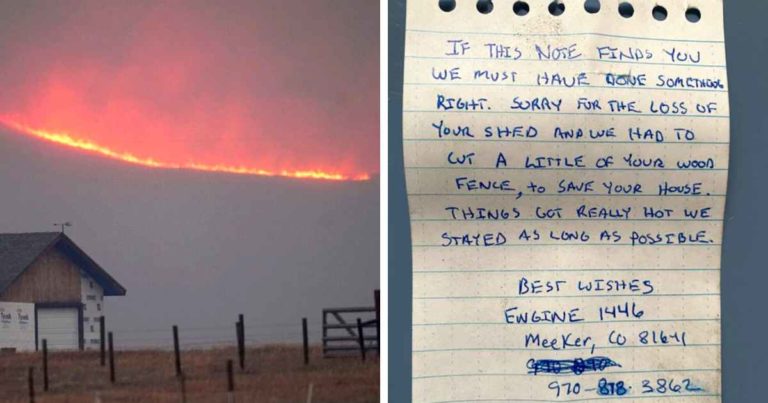 firefighters-apology-note