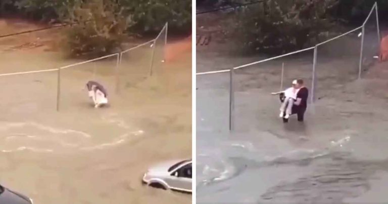 man-carries-grandma-in-flood-waters