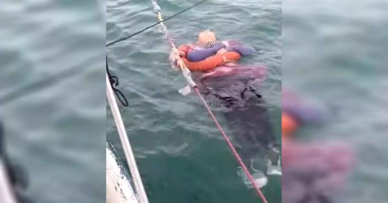 missing-woman-found-alive-at-sea