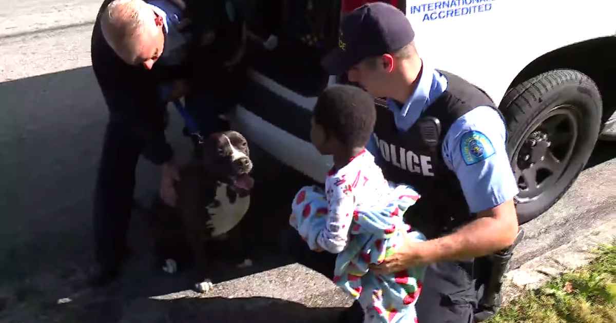 pitbull-protects-lost-child