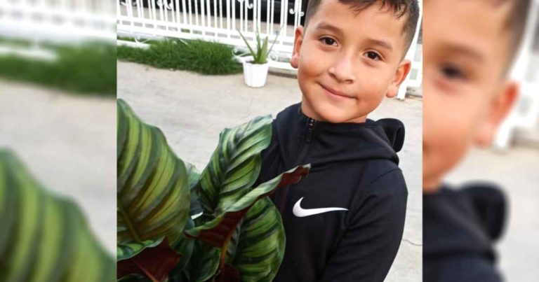 aaron-moreno-plants