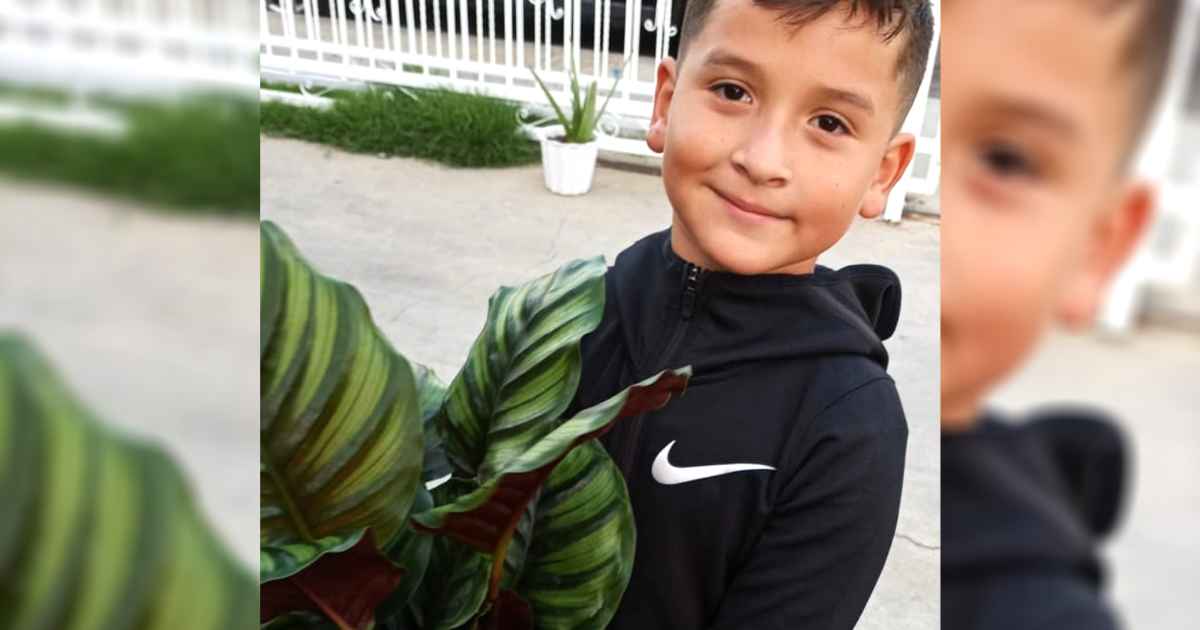 aaron-moreno-plants
