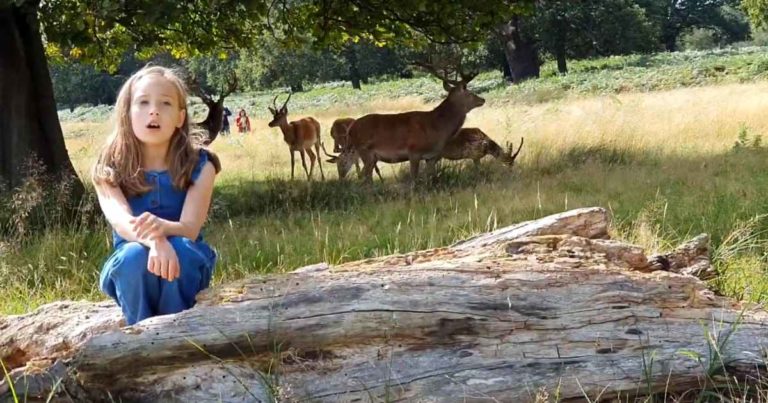 as-the-deer-panteth-for-the-water-cover-eunice-harii