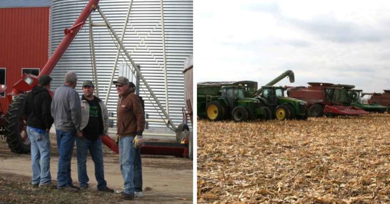farmers-harvest-crop-for-deceased-neighbor
