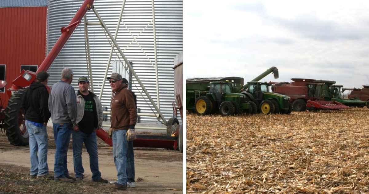 farmers-harvest-crop-for-deceased-neighbor