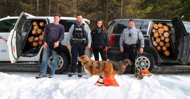 canadian-police-firewood