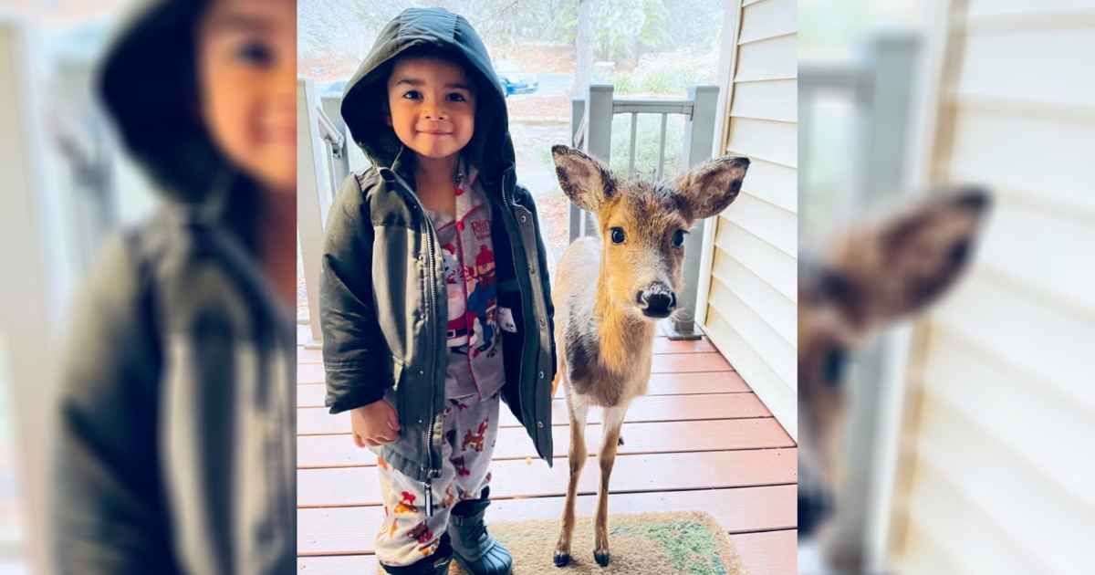 boy-with-deer