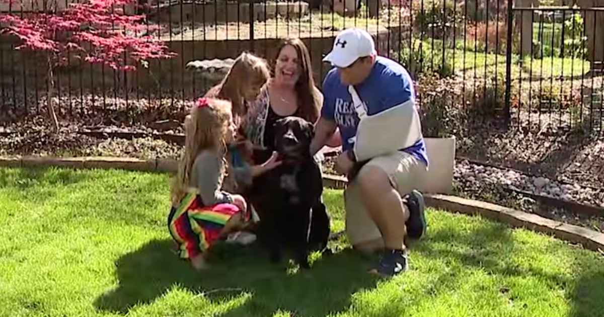 family-dog-saves-dad-from-intruder