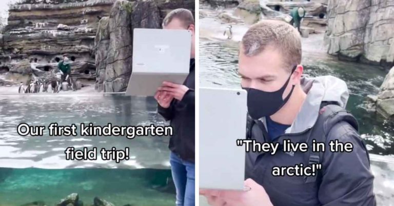 kindergarten-teacher-virtual-zoo