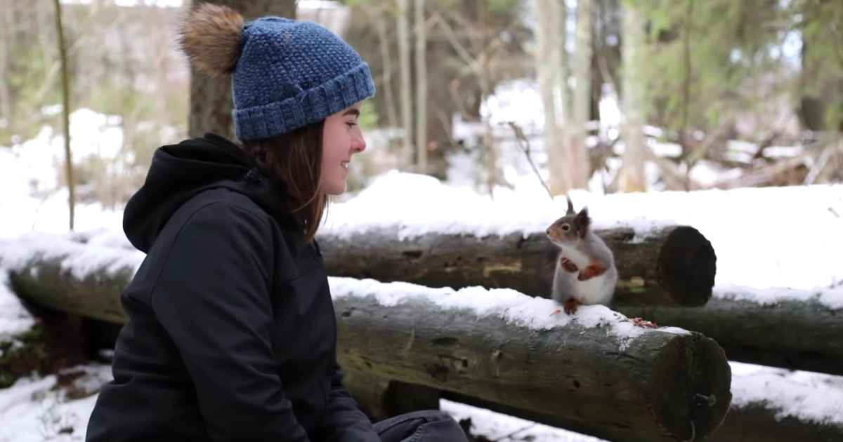 photographer-rescues-squirrels