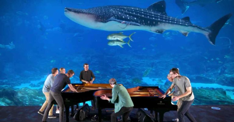georgia-aquarium-piano-rogers-family