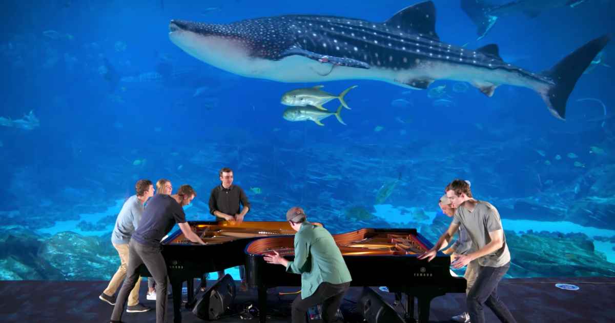 georgia-aquarium-piano-rogers-family