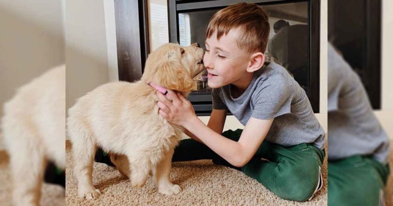 puppy-born-without-paw