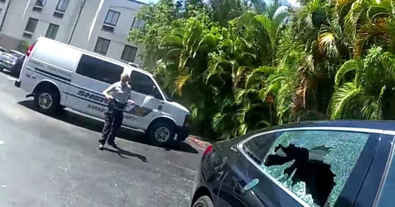 police-rescue-puppy-from-hot-car