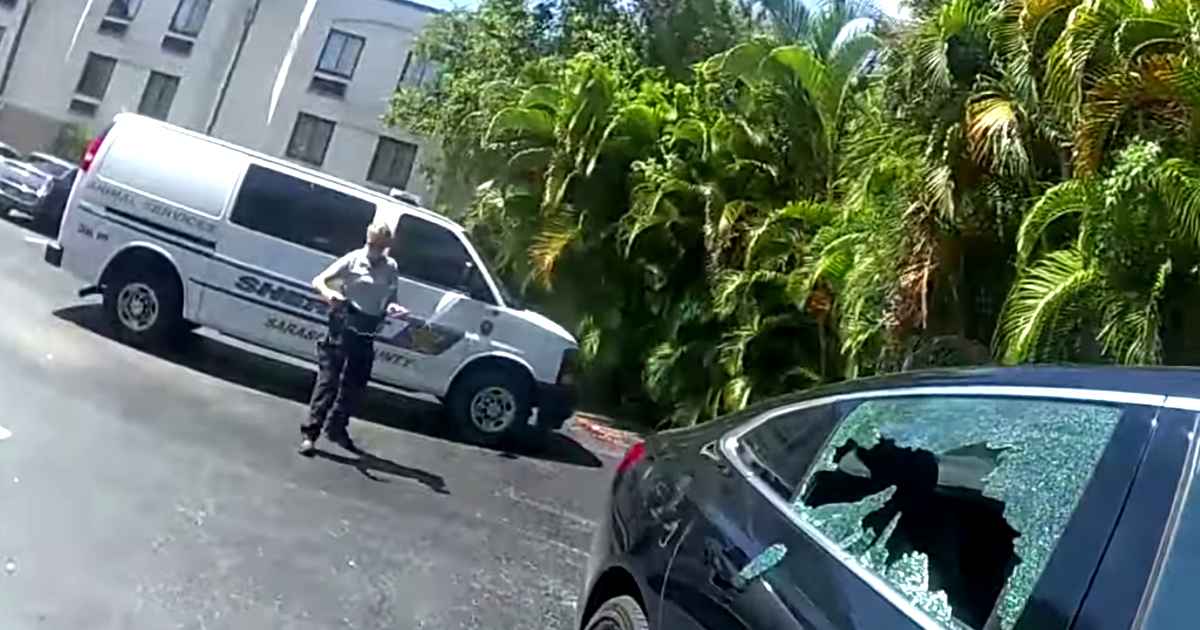 police-rescue-puppy-from-hot-car