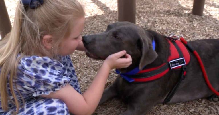 dog-comforts-crying-girl-raelynn-nast