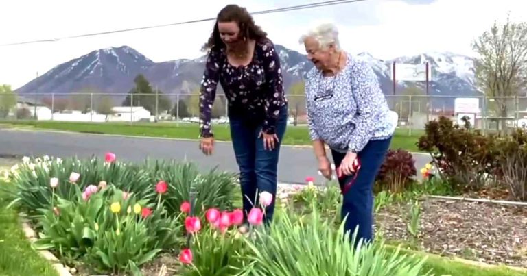 tulips-friendship