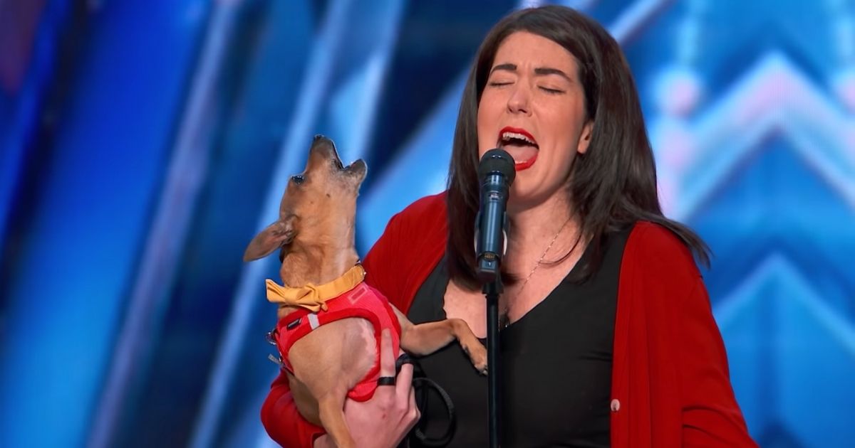 singing dog casper agt