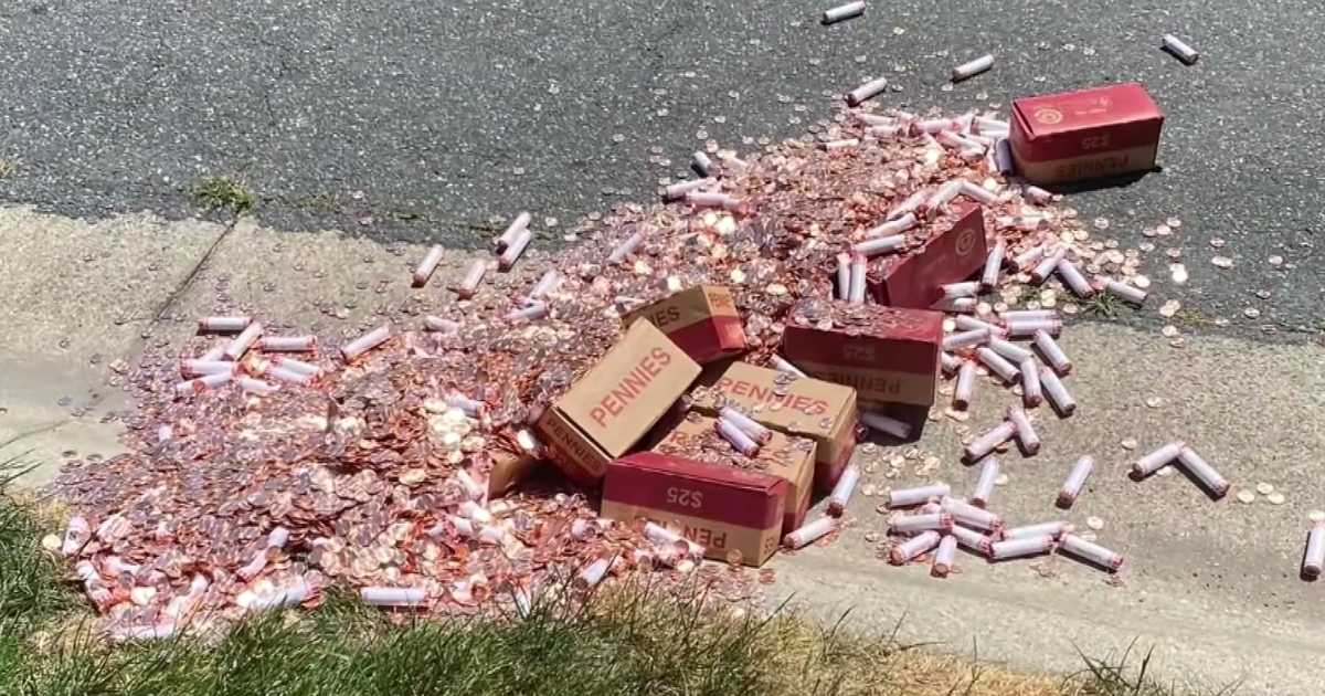 pennies on lawn