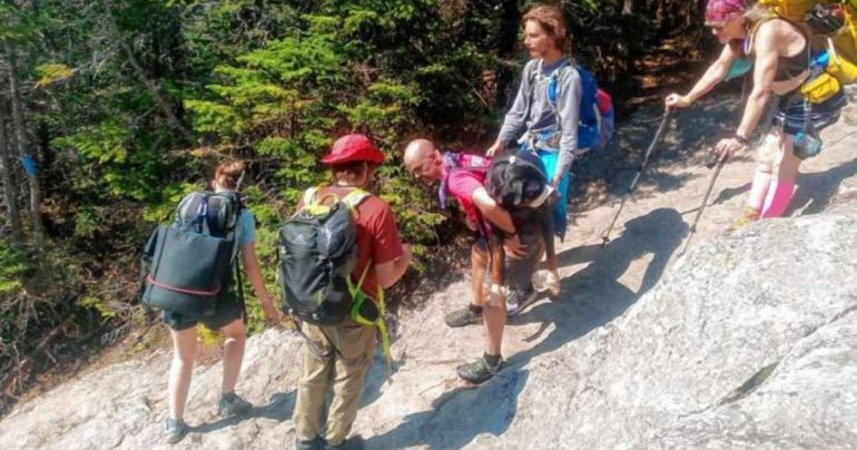hikers rescue dog