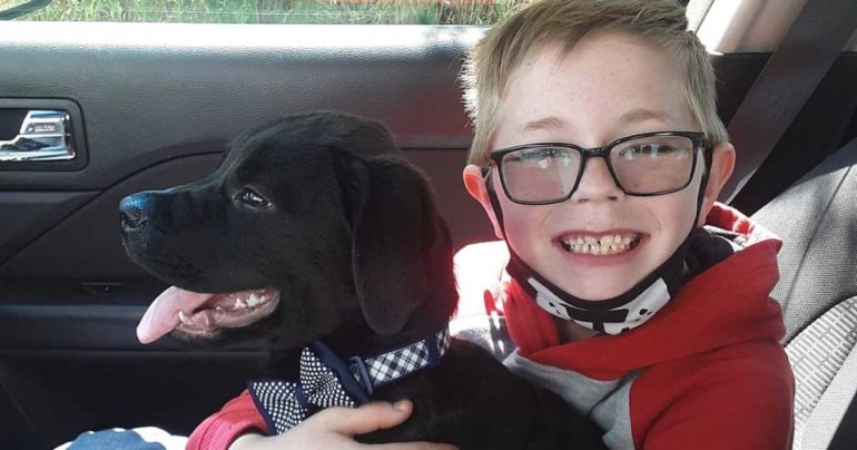 boy sells pokemon cards for dog