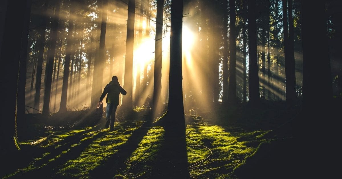 walking in the light of god bible verses