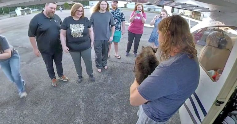 lost dog found after 10 years