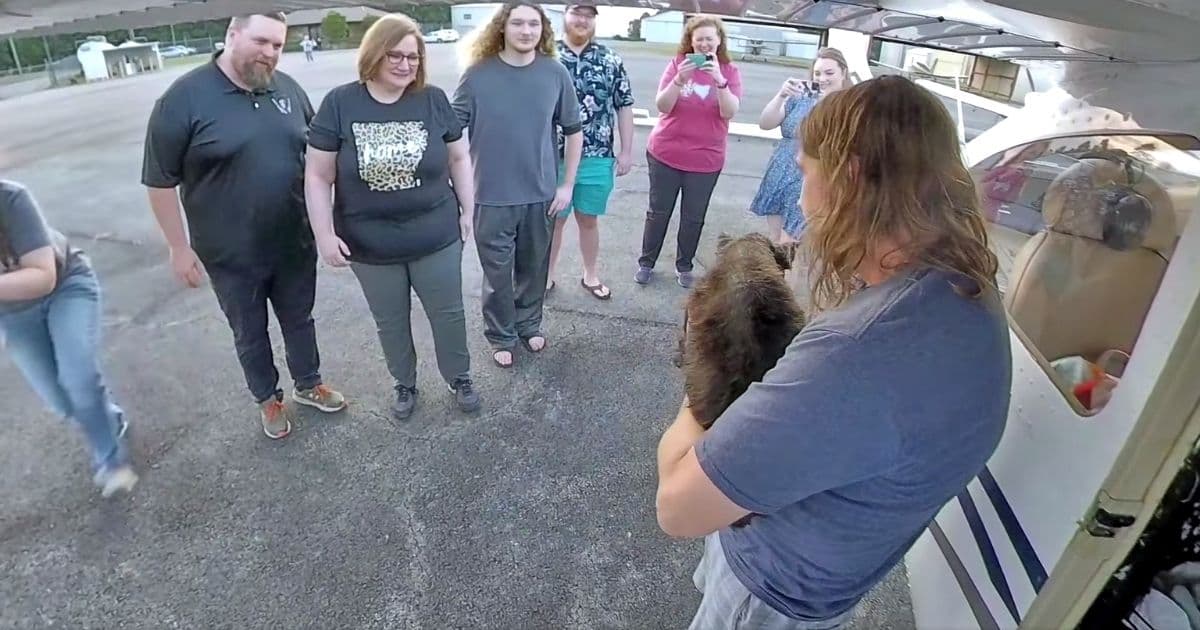lost dog found after 10 years