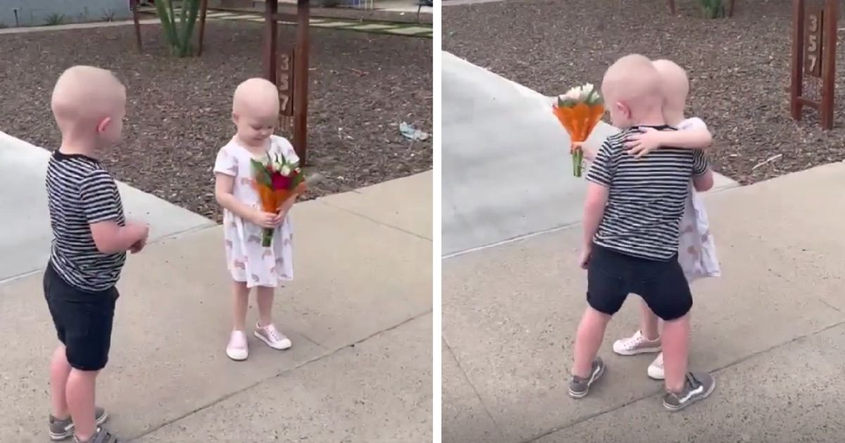 toddlers reunited after battling cancer
