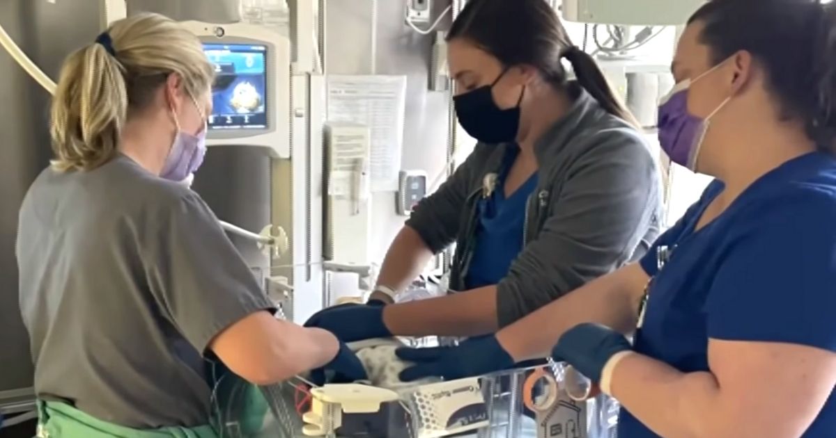 nicu nurses hurricane ida