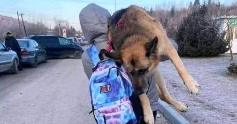 family-carries-dog-ukraine