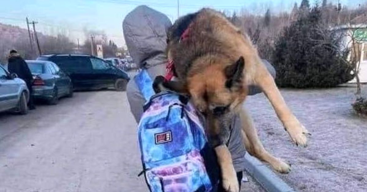 family-carries-dog-ukraine