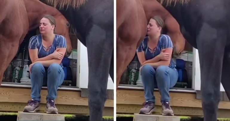 horse-comforts-crying-girl