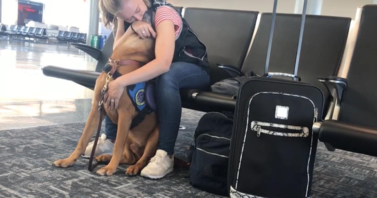 dog recognizes panic attack