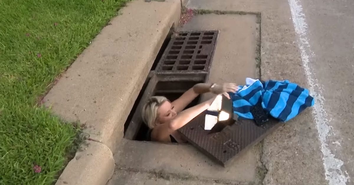 woman rescues puppies