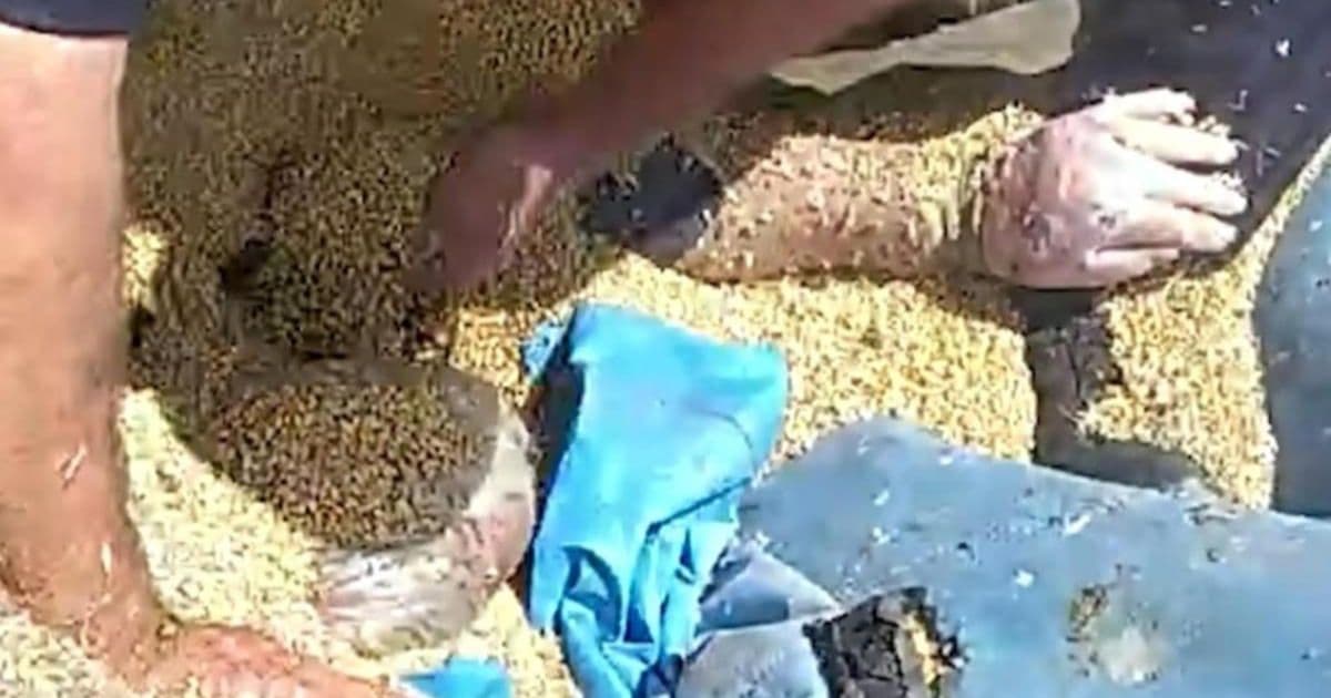 farmer trapped in grain silo