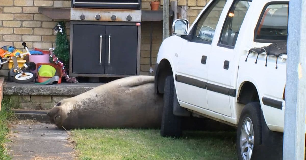 seal block driveway