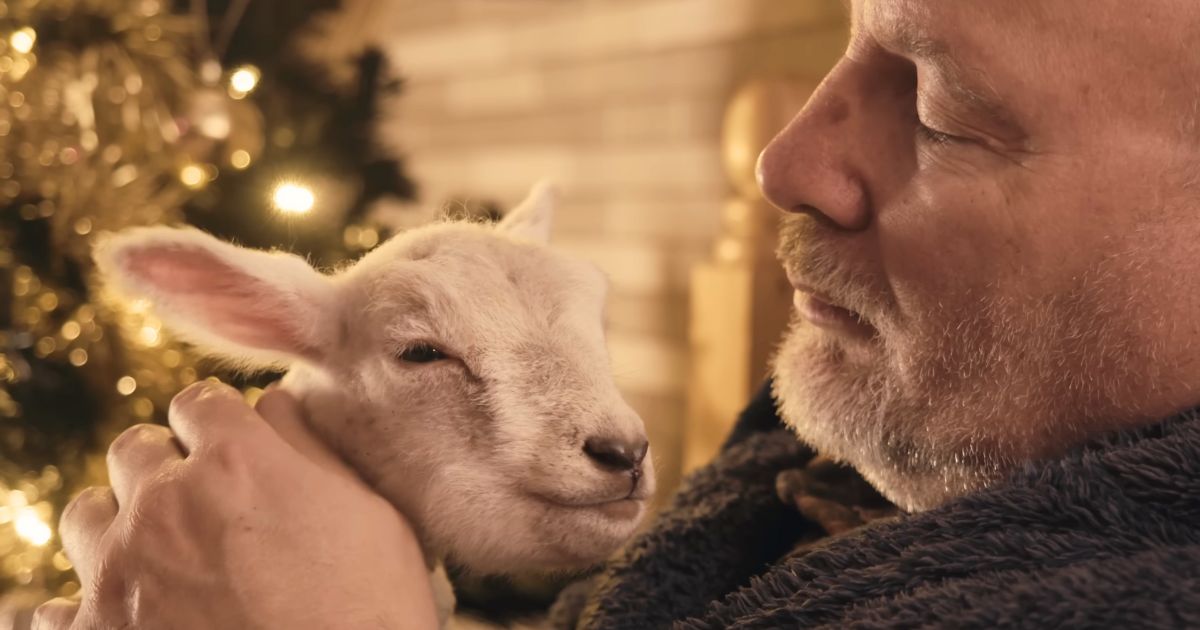 dementia video the man and the lamb