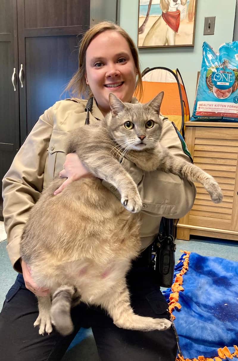 28 lbs cat frosty maim