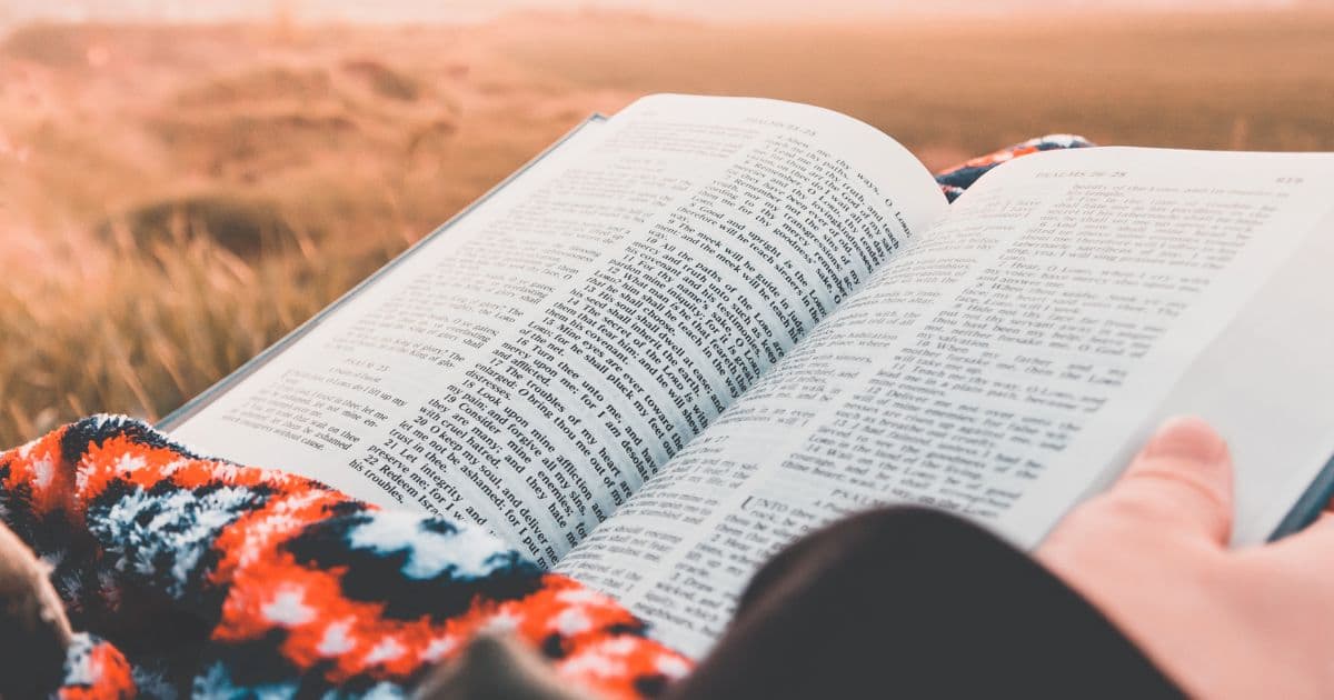 bible reading steps