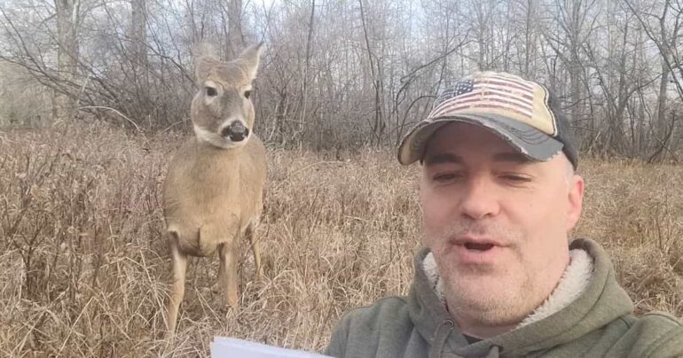 deer listens to shakespeare