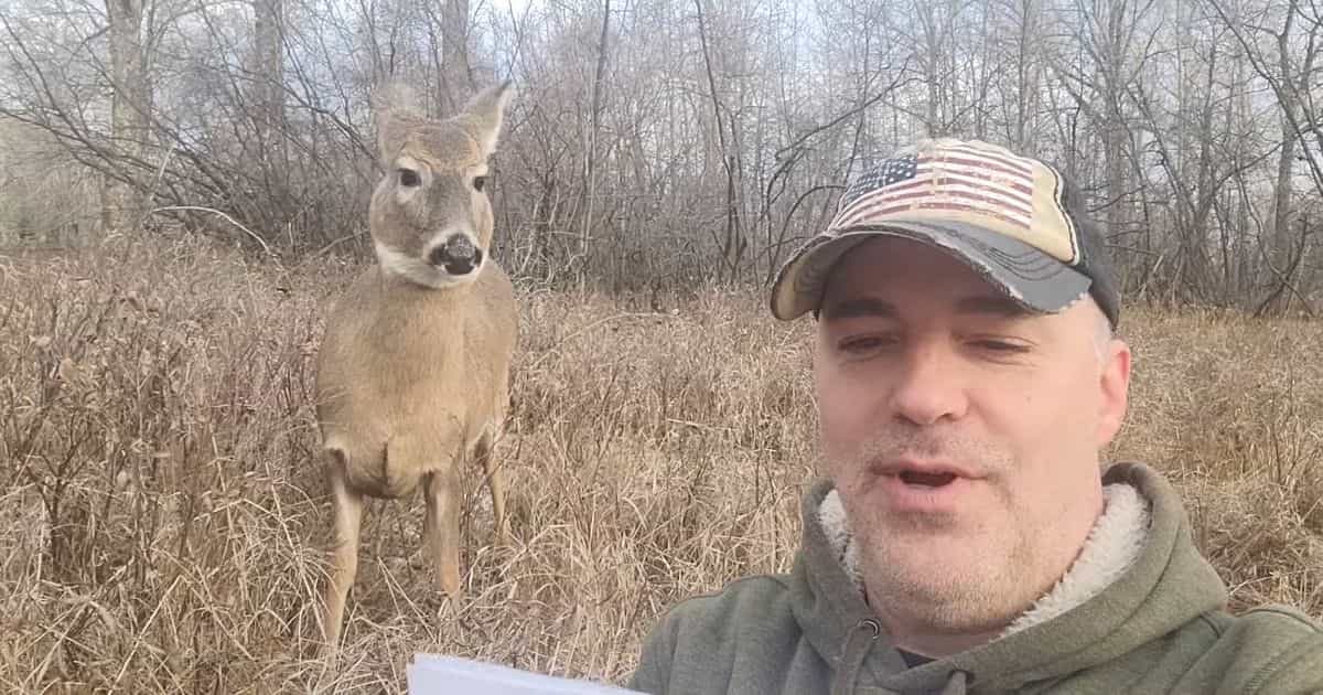 deer listens to shakespeare