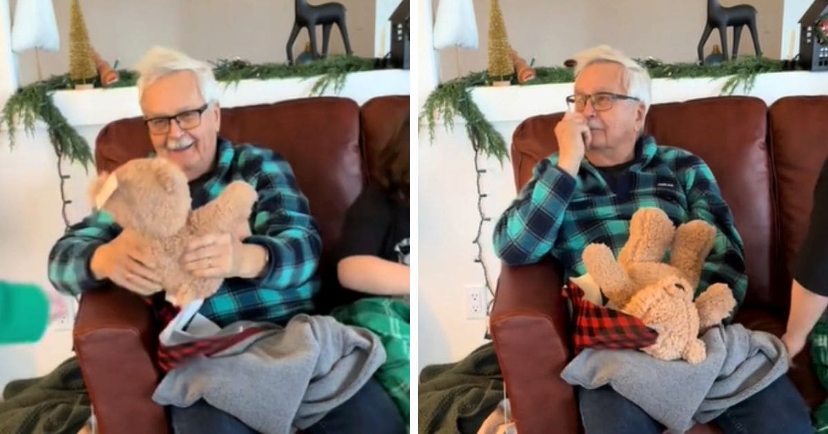 teddy bear with voice recording