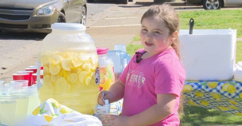 emouree lemonade stand