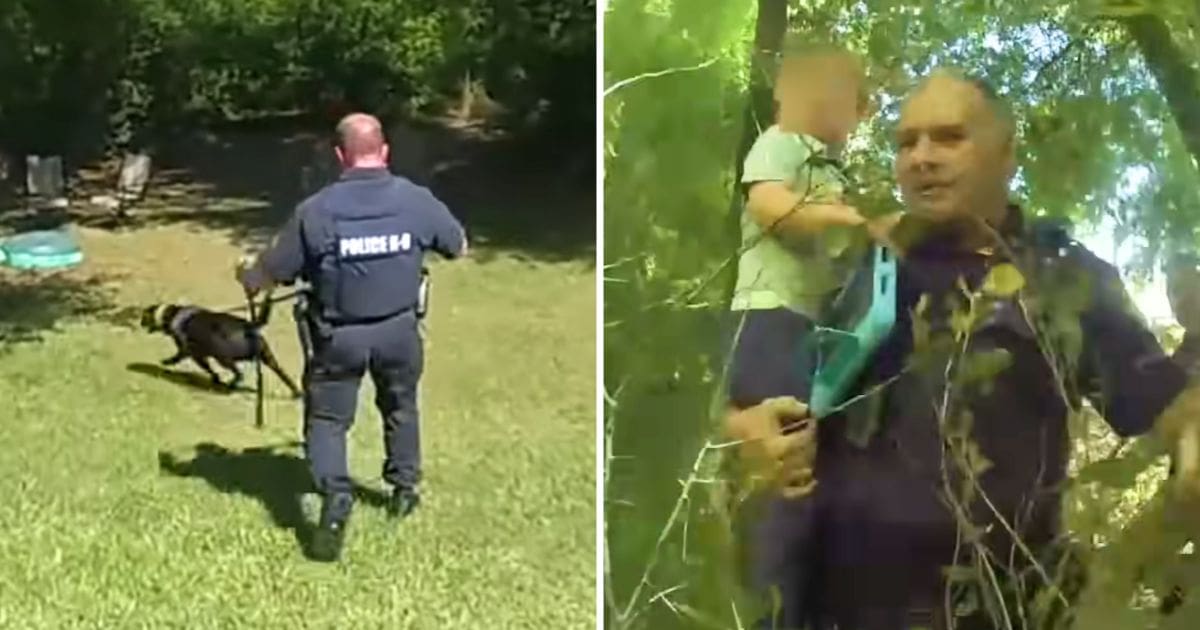 k9 finds missing 3 year old