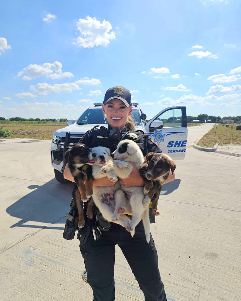 police rescued abandoned puppies