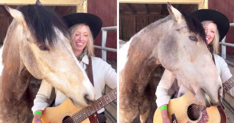 horse playing guitar