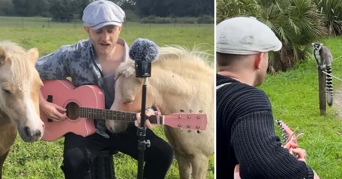 animals reacting to music