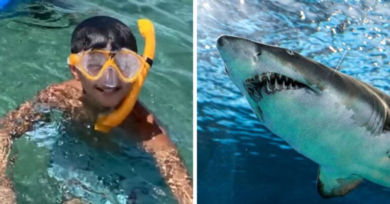 jameson reeder shark attack