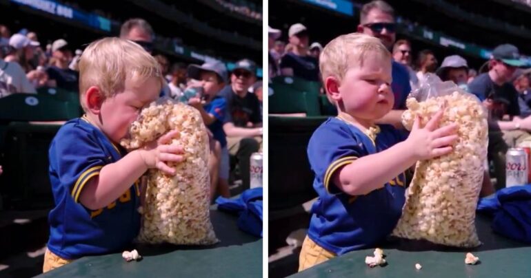 little boy loves popcorn mariners game